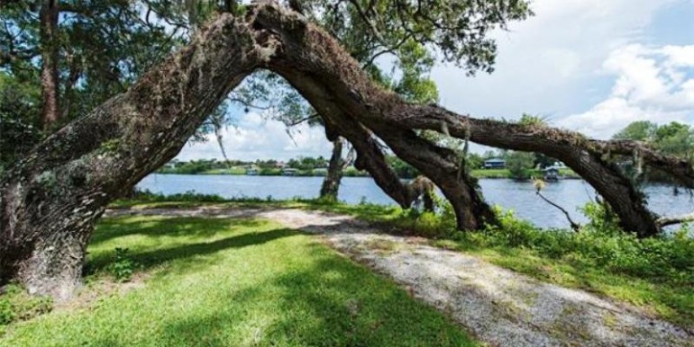 Island Path with Natural Tree Arch